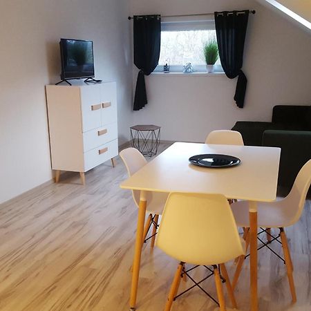 Apartamenty - Pod Wierzbami Dwikozy Room photo