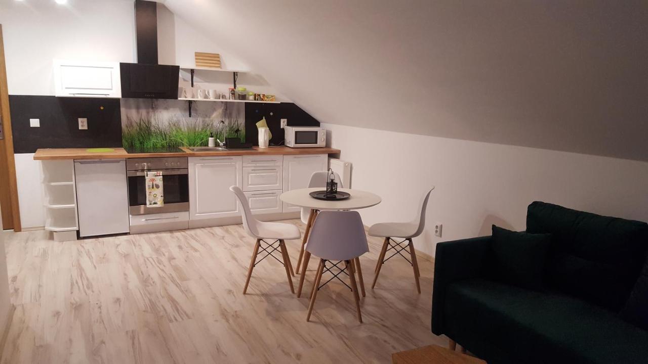 Apartamenty - Pod Wierzbami Dwikozy Exterior photo